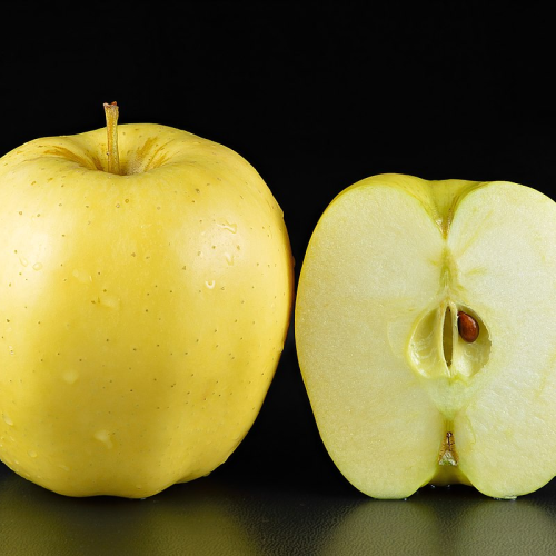 Jabloň MALUS DOMESTICA GOLDEN DELICIOUS kont 5 / minikmeň